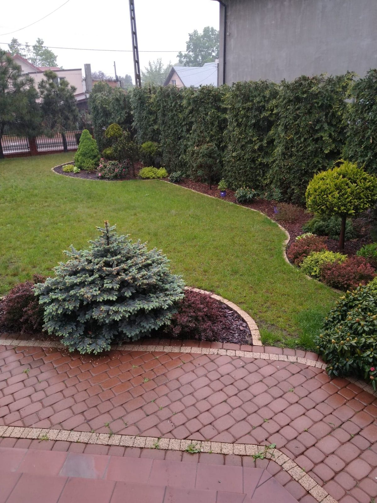 82018380_2691039987677269_2258192142360903680_n